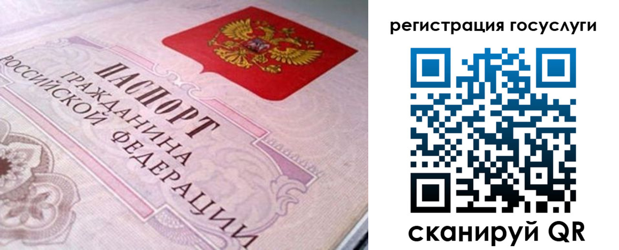 где прописаться в Мурино